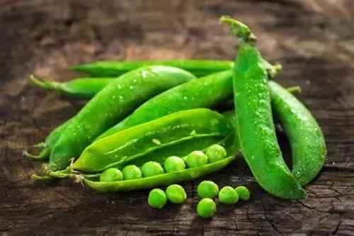 娱乐豆吃瓜,揭秘娱乐圈那些不为人知的幕后故事